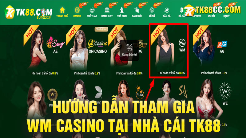 Hướng dẫn tham gia wm casino tại nhà cái tk88